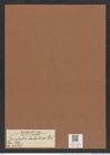Fenestella barbadensis Grev. (de-Toni-Nr.: Genus 179, Species 4478) Zeichnungen Sammlung Grunow Mappe 04401 (Herbarium_W_Grunow_drawings_Folder_04401)
